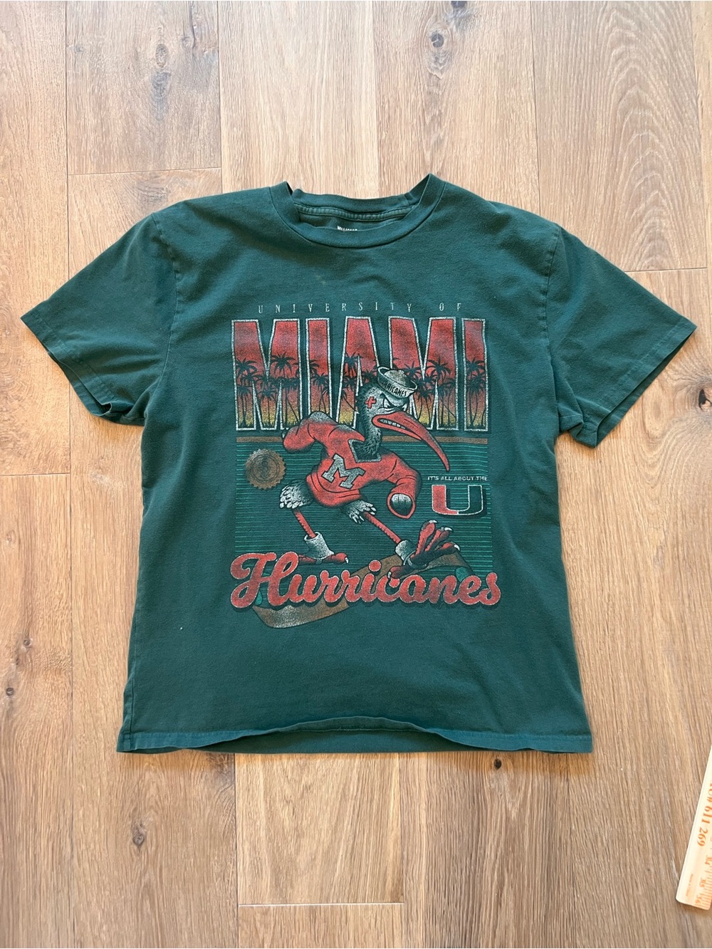 Hollister University of Miami Hurricanes Graphic T-Shirt Men’s Large Green Tee